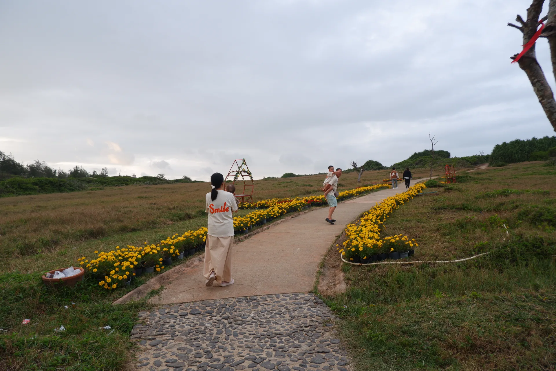 Phú Yên đầu xuân (Tết Giáp Thìn 2024) – 2